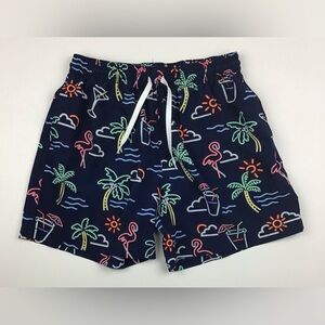 Chubbies lined shorts men’s medium neon blue